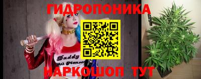 крисы Комсомольск-на-Амуре